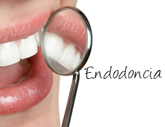 Endodoncia